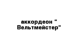 аккордеон “ Вельтмейстер“